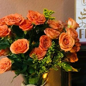 Meet your Posher, Leslie